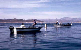 People on boats fishing